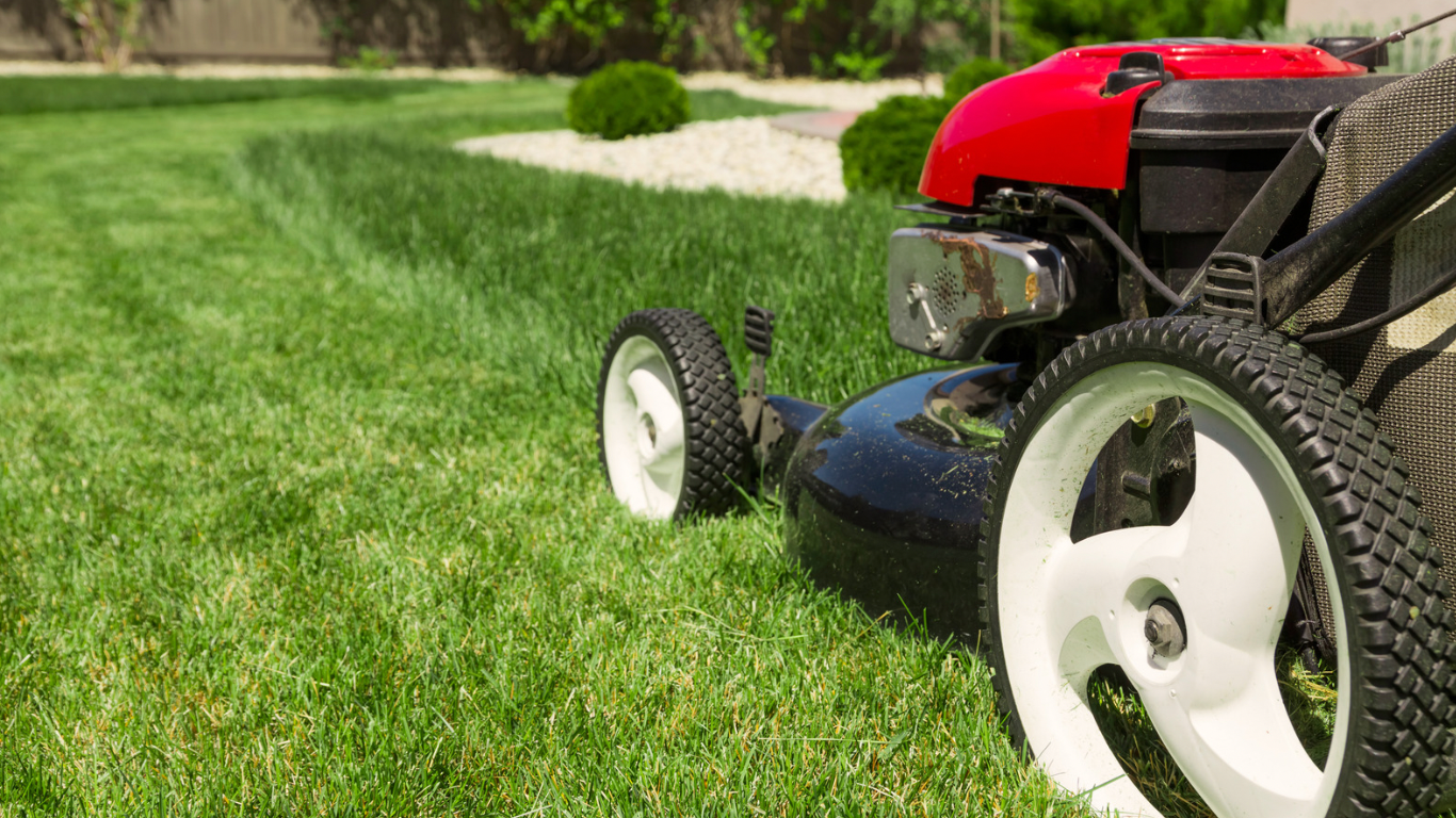 Lawn mower discount repairs lower hutt